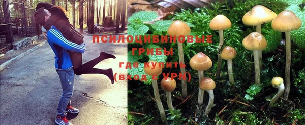 метадон Липки