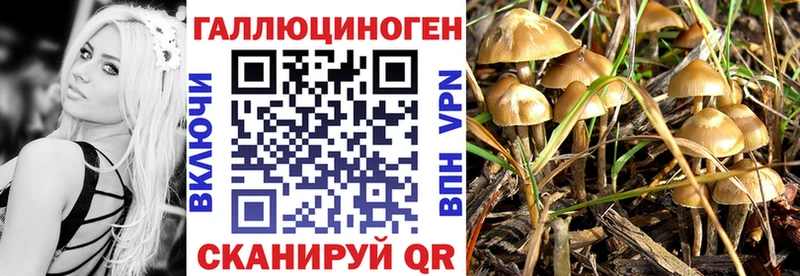 Псилоцибиновые грибы ЛСД  Мариинский Посад 